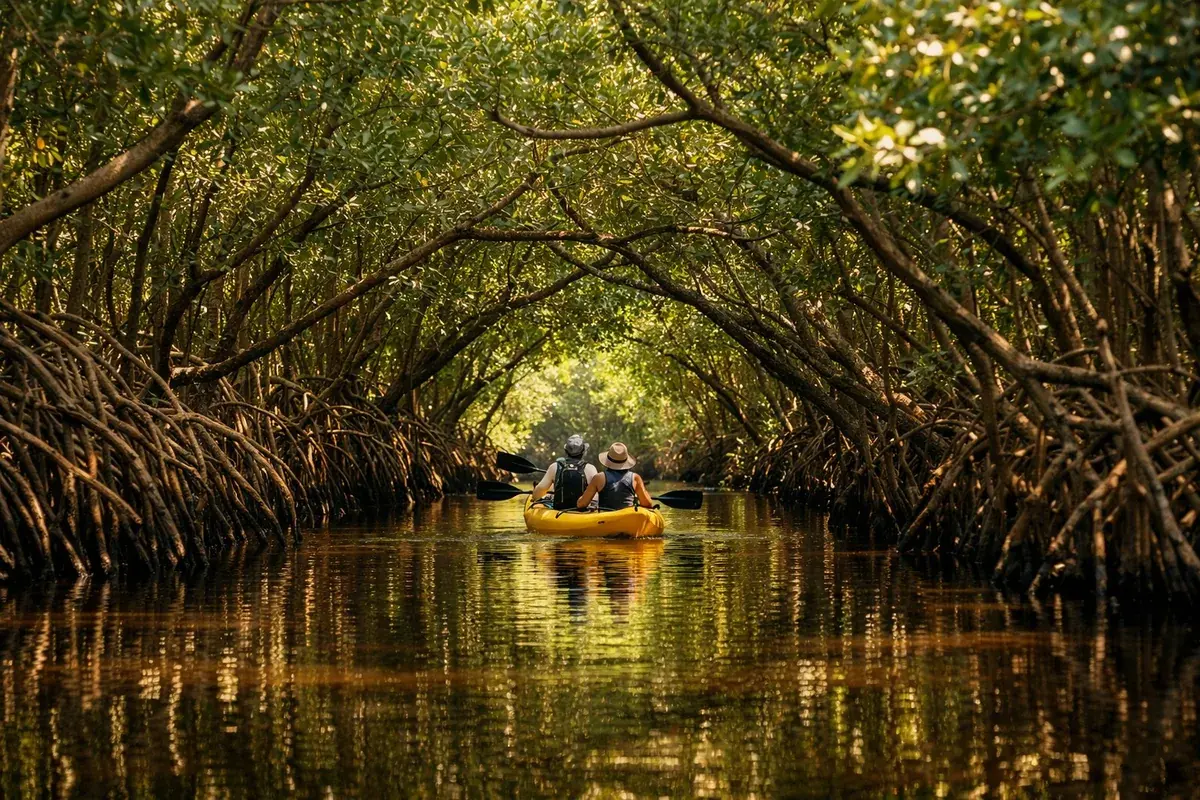 Casal remando um caiaque por um igarapé estreito, sob um túnel de raízes de mangue