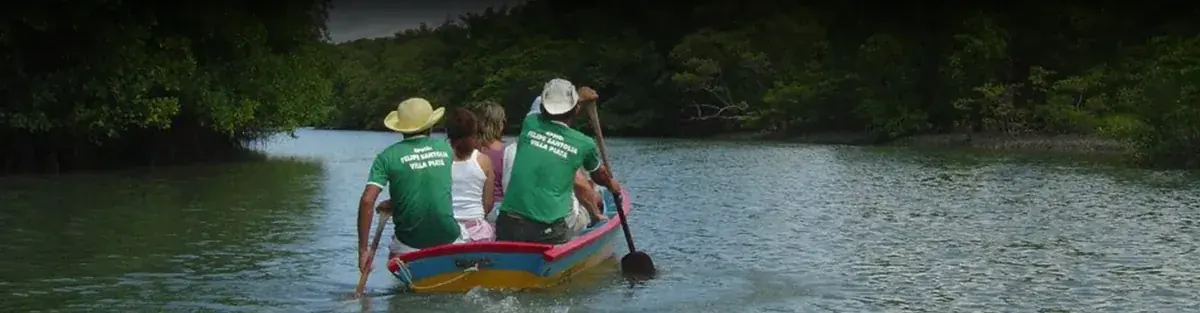 Guias e visitantes remando uma canoa por um braço de água entre os manguezais do Delta