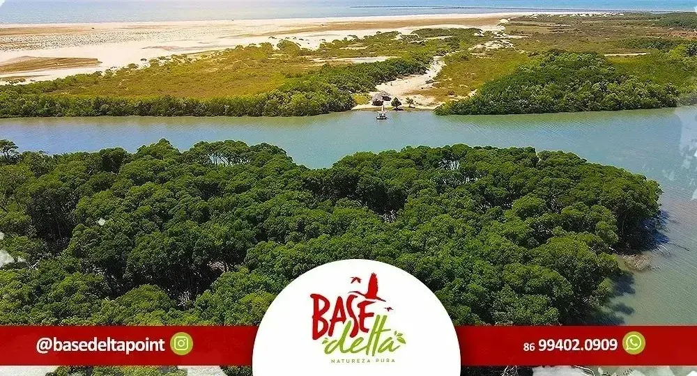 Vista aérea das ilhas de mangue e canais do Delta do Parnaíba