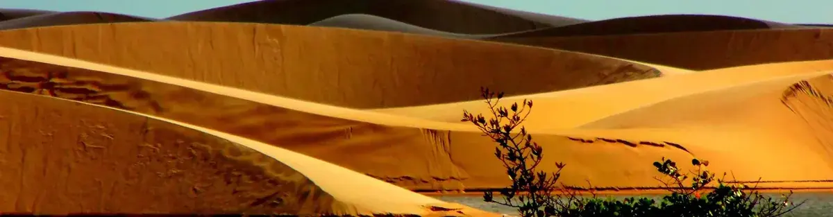 Dunas douradas modeladas pelo vento no litoral